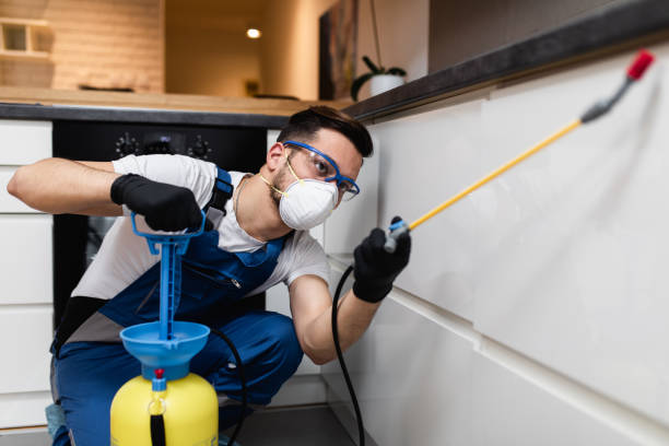 Best Pest Control Near Me  in West Samoset, FL