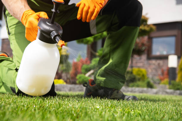 Best Bed Bug Extermination  in West Samoset, FL