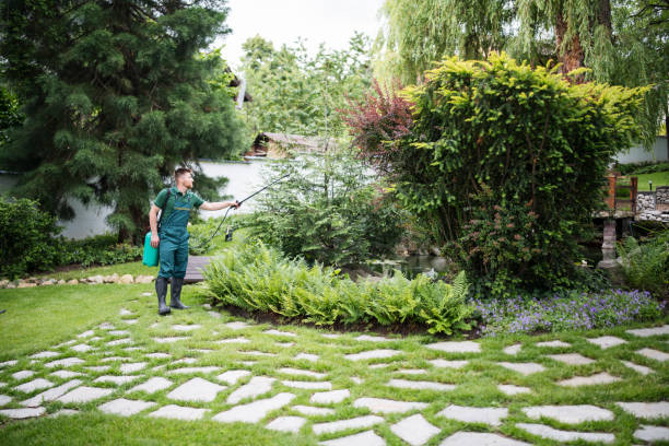 Best Pest Removal Services  in West Samoset, FL
