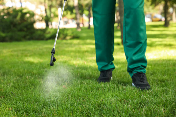 Reliable West Samoset, FL Pest Control Solutions